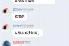 合肥为什么选择专业追讨公司来处理您的债务纠纷？